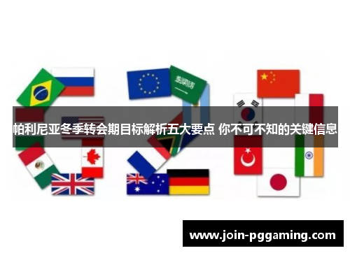 帕利尼亚冬季转会期目标解析五大要点 你不可不知的关键信息