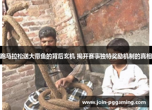 跑马拉松送大带鱼的背后玄机 揭开赛事独特奖励机制的真相
