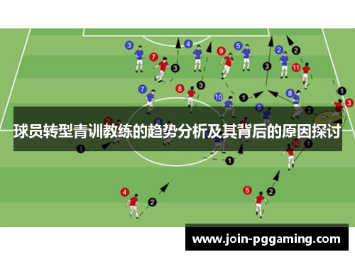 球员转型青训教练的趋势分析及其背后的原因探讨