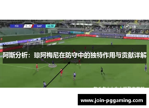 阿斯分析：琼阿梅尼在防守中的独特作用与贡献详解