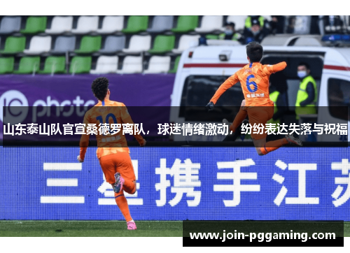 山东泰山队官宣桑德罗离队，球迷情绪激动，纷纷表达失落与祝福