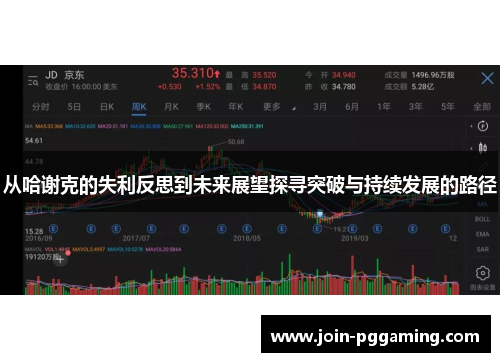 从哈谢克的失利反思到未来展望探寻突破与持续发展的路径