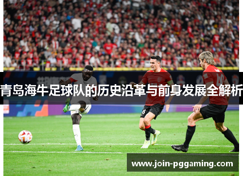 青岛海牛足球队的历史沿革与前身发展全解析
