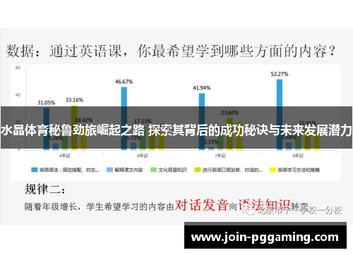 水晶体育秘鲁劲旅崛起之路 探索其背后的成功秘诀与未来发展潜力