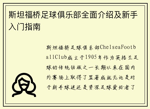 斯坦福桥足球俱乐部全面介绍及新手入门指南